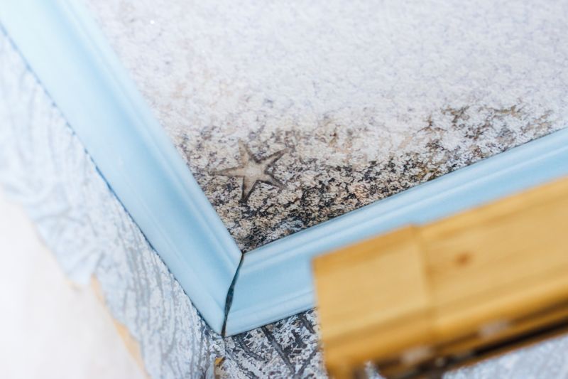 Ceiling Mold Removal in Dallas, TX