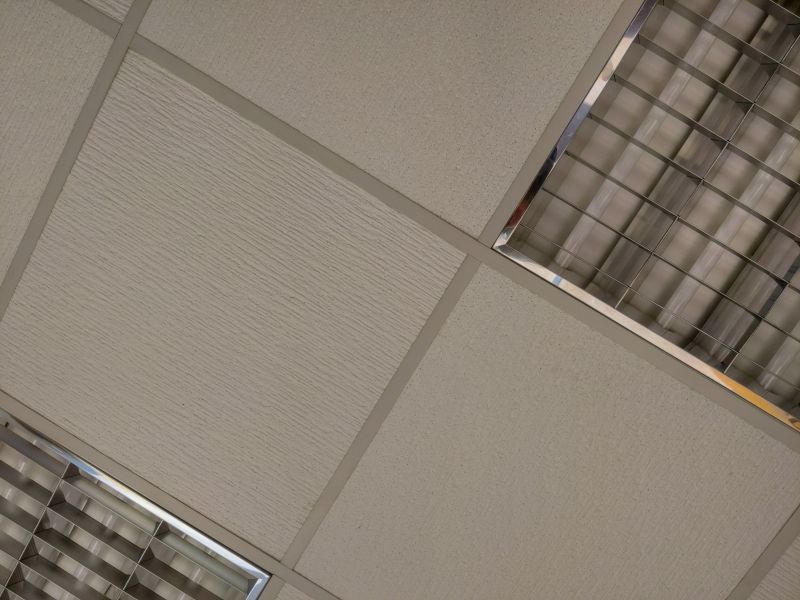 Cleaning Painted, Textured, And Specialty Ceilings