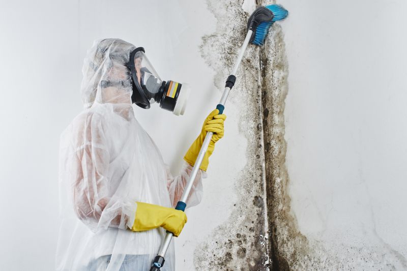 Mold Abatement Service in Broward County, FL