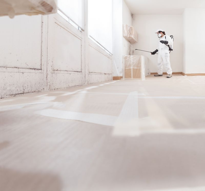 Mold Remediation Service in Frisco, TX