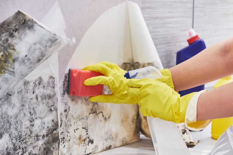 Mold Removal in Dallas, TX