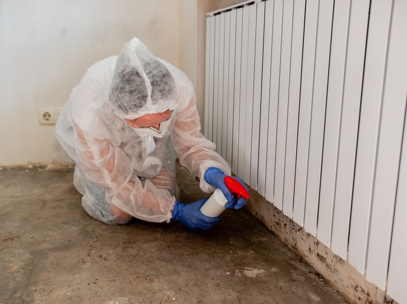 Mold Restoration in Jupiter, FL