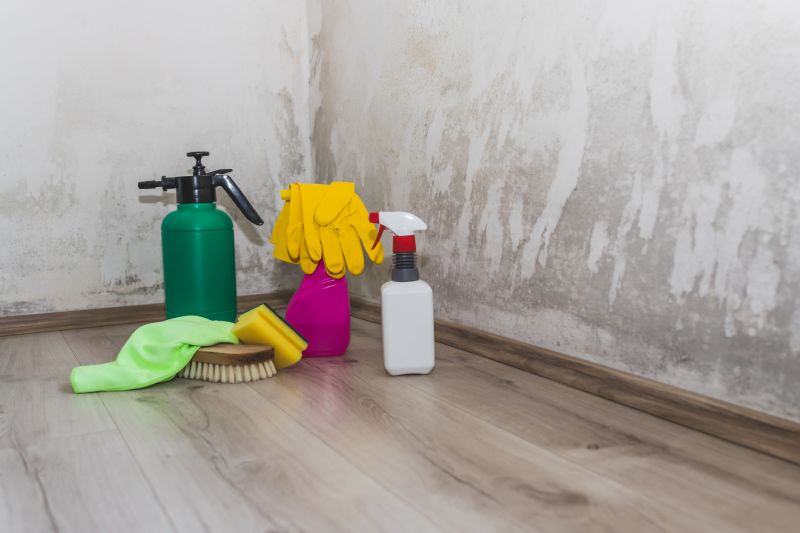 Mold Restoration in Fort Lauderdale, FL