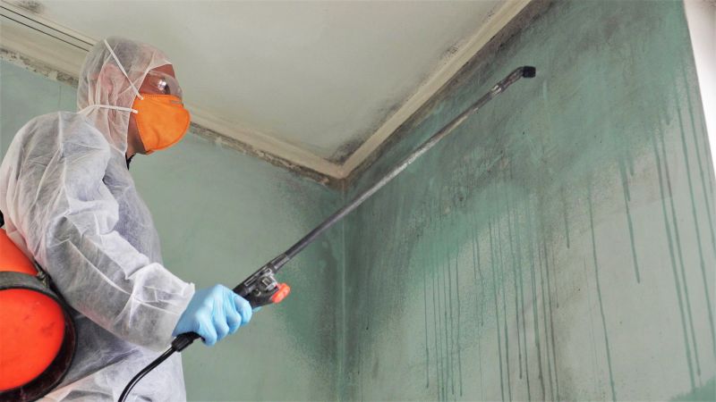 Mold Treatment Service in Boca Raton, FL