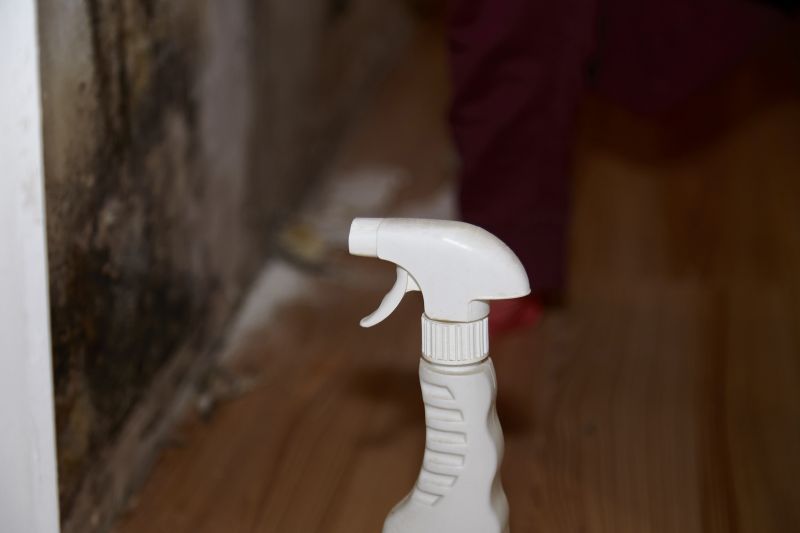 Mold Treatment Service in West Palm Beach, FL