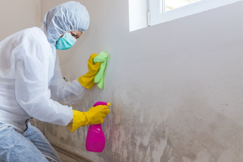 Mold and Dirt Removal