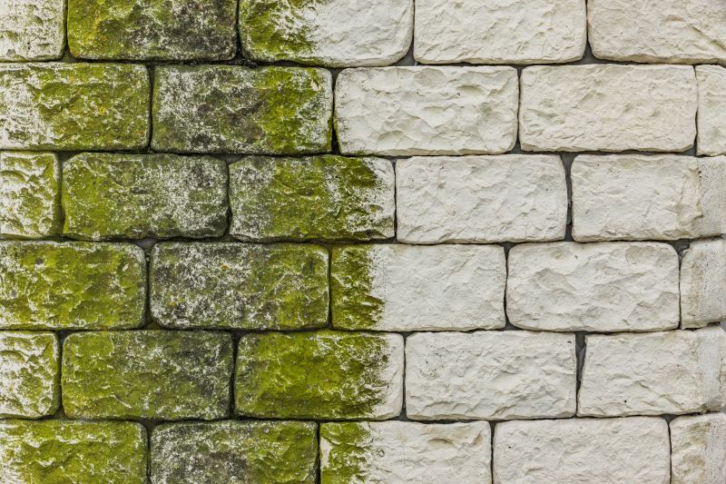 Restored Wall Surface